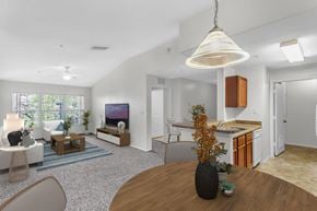 Orlando apartment for rent - Living Area