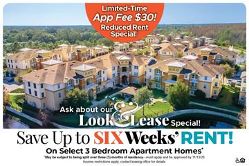 Kissimmee apartment for rent - Osceola Pointe
