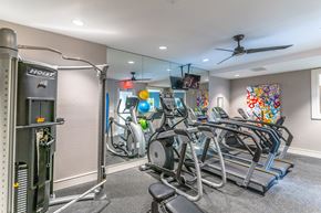 Orange City apartment for rent - the gym at the enclave at woodbridge apartments in sugar land, tx