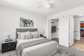 New Port Richey apartment for rent - a bedroom with a bed and a ceiling fan