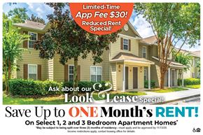 Lady Lake apartment for rent - Save Up to One Month's Rent on Select 1, 2 and 3 Bedroom Apartment Homes* Ask About our Look and Lease Special!
