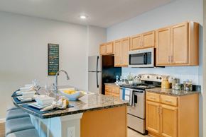 Longwood apartment for rent - Lake view single suite kitchen