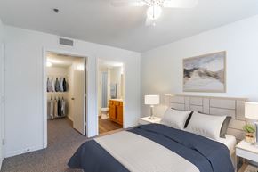 Tampa apartment for rent - Bedroom