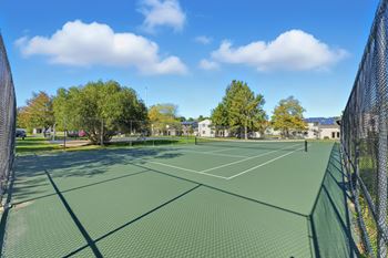Tennis court