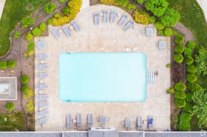 Bridgewater apartment for rent - An aerial view of a swimming pool surrounded by sun loungers and trees at Axis at Lakeshore Apartments, Bridgewater, MA, 02324