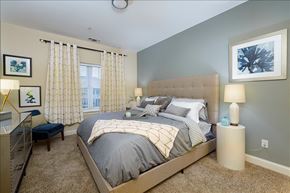 Bridgewater apartment for rent - Bedroom at Axis at Lakeshore Apartments, Bridgewater, Massachusetts