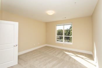 Plush wall-to-wall carpeting