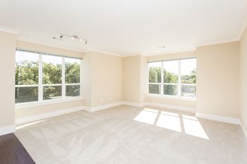 Extra large windows