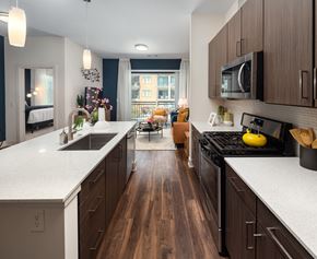 Atlanta apartment for rent - Contemporary Apartment Interior Featuring Designer Kitchen and Connected Living Space