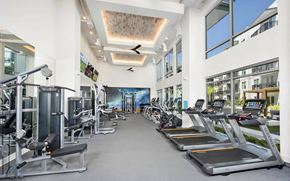 Tampa apartment for rent - Fitness Studio with Cardio Machines, Weight Equipment, and Floor-to-Ceiling Windows