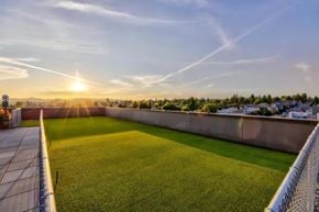 Seattle apartment for rent - Ballard Lofts Community Amenities Open Air Pet Walk Dog Relief Area