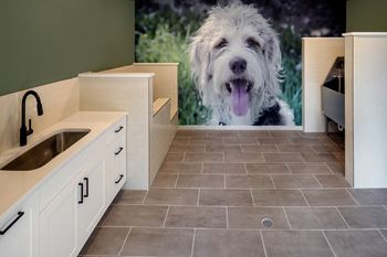 Dog run & pet spa