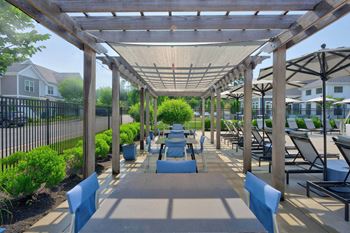 Sundrenched saltwater pool and lounge seating