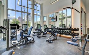 Fort Lauderdale apartment for rent - Fitness Center With Weight Benches, Dumbbells, and Large Windows Showing City View