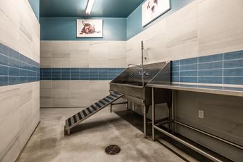 Pet wash station