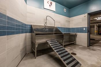 Pet wash station