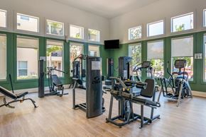 Pembroke Pines apartment for rent - A gym with a variety of equipment including treadmills, weights, and exercise machines.