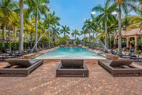 Pembroke Pines apartment for rent - A pool surrounded by palm trees and lounge chairs.