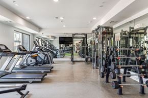 Austin apartment for rent - Rhythm State-of-the-art Fitness Center with Free Weights and Cardio Machines