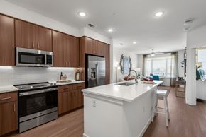 Centennial apartment for rent - Modern Kitchen with Wood Cabinetry and Stainless Steel Appliances