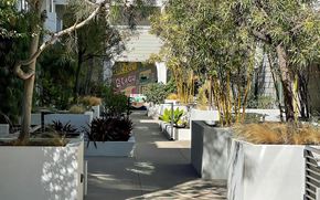 Venice apartment for rent - Venice on Rose Community Outdoors Outdoor Courtyard with Mural