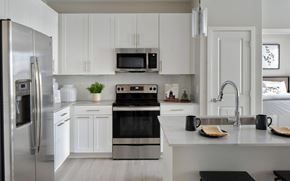 Charlotte apartment for rent - Kitchen with Stainless Steel Appliances