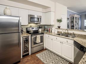 Saint Petersburg apartment for rent - Modern kitchen with stainless appliances and granite counters