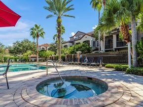 Saint Petersburg apartment for rent - Outdoor spa and pool surrounded by palm trees and lounge seating.
