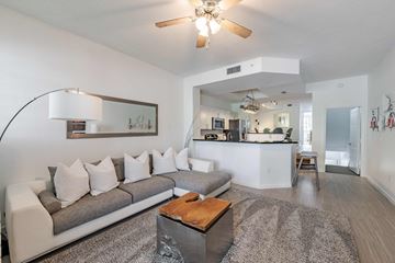 Wellington apartment for rent - A living room with a grey couch and a wooden coffee table.