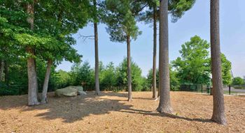 Fenced dog park