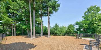 Fenced dog park
