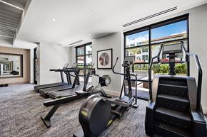 Walnut Creek apartment for rent - Cardio zone with treadmills, ellipticals, and stair climber framed by floor-to-ceiling windows for an inspiring view