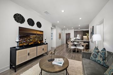 Walnut Creek apartment for rent - A modern living room with a wooden coffee table and a grey couch.