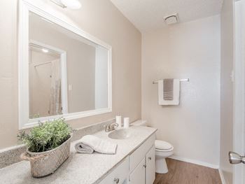 Bathroom with large vanity mirror