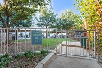 Dog park
