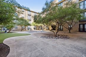 Plano apartment for rent - A courtyard with a tree and a building in the background.