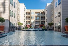 Houston apartment for rent - Shimmering Pool at Sunrise by the Park, Texas, 77007