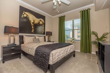 Plush carpeting in bedrooms*