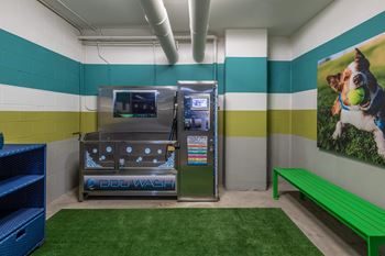 Dog wash station