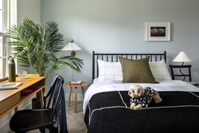 Ewing Township apartment for rent - A dog wearing a sweater sits on a bed in a bedroom.