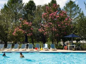 Toms River apartment for rent - two people swimming in a pool with chairs and umbrellas