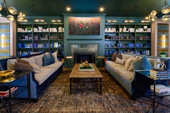 Wood burning fireplace