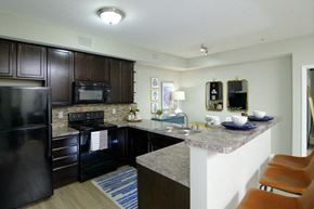 Columbus apartment for rent - A kitchen with a black refrigerator and a black microwave.