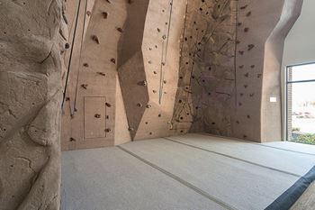 A rock climbing wall