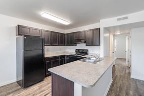 Columbia apartment for rent - the preserve at ballantyne commons apartment kitchen with black refrigerator and sink