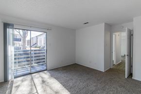 Mckinney apartment for rent - A room with a carpeted floor and a sliding glass door.