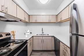 Ft. Worth apartment for rent - A kitchen with a stove, sink, and refrigerator.