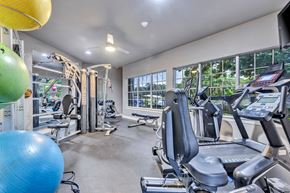 San Antonio apartment for rent - gym with cardio equipment at Waters at Elm Creek, San Antonio, TX