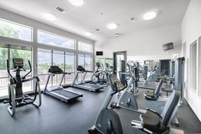 Austin apartment for rent - the gym with cardio equipment and windows at the belgard apartments