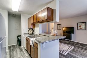 Lewisville apartment for rent - an open kitchen with a granite counter top and a sink